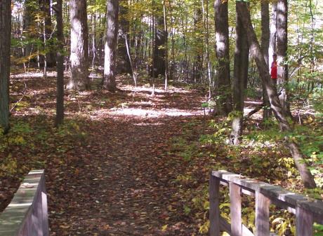 Sleepy-Hollow-1