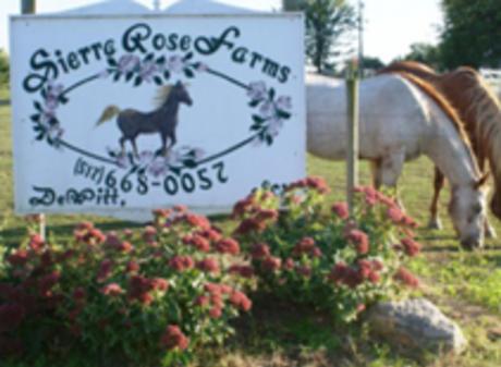 SierraRose Farms & Healing Hearts With Horses