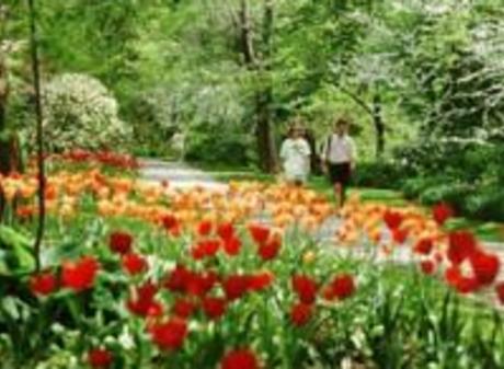 W.J. Beal Botanical Garden