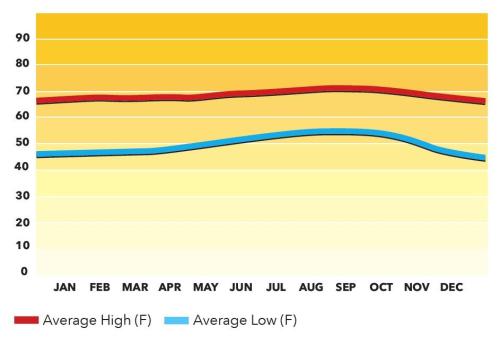 Average Temperature Graph