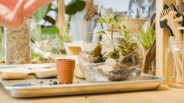 True Leaf Studio Terrarium