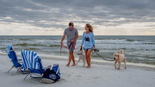 A couple walking two dogs along the shoreline of St. Joe Beach with beach chairs and towels in the foreground.