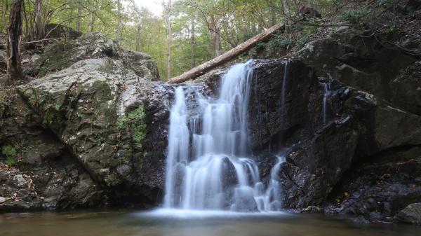 Patapsco State Park