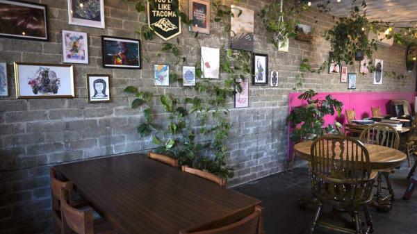 juniper botanical bar