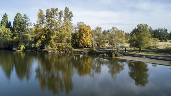 lakewood bird watching