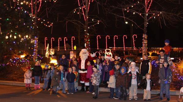 Fife Tree Lighting Christmas Holidays