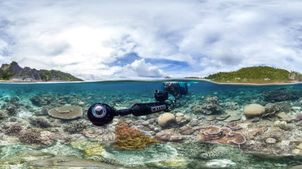 SFF Chasing Coral