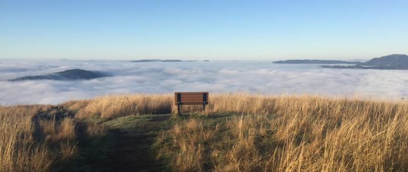 Mount Pisgah in the Fog by Melanie Griffin Mount Pisgah in the Fog by Melanie Griffin