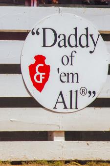 CFD Logo in Arena