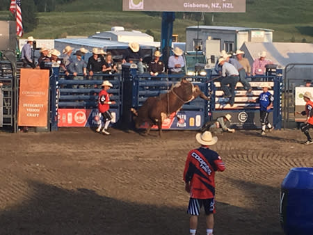 Big Sky PBR 2017 | Photo: D.Lennon