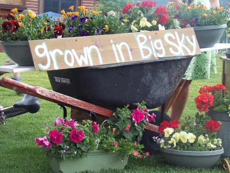 Grown in Big Sky A The Farmers Market | Photo: Big Sky Town Center
