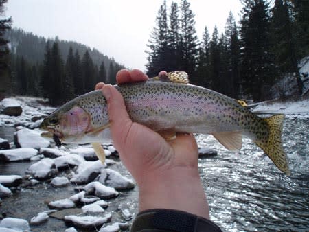 Winter Fly Fishing | Photo: Gallatin River Guides