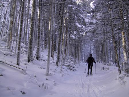 A person bundled in black clothing uses nordic skis to traverse a snowy landscape.