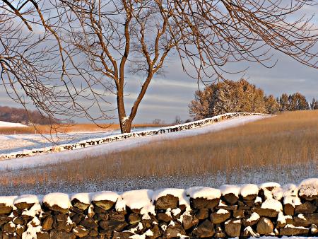 Brandywine Creek State Park