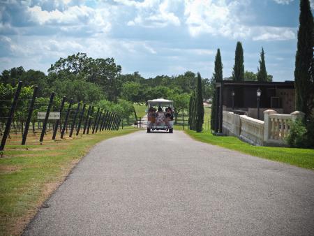 Grape Creek Vineyards