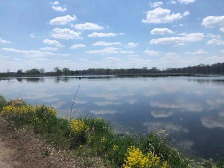 View from a trail in Sensiba State Wildlife Area overlooking a body of water