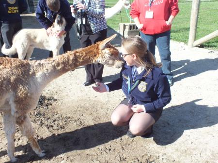 Montrose Farms Alpaca Ranch