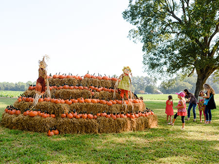 A little girl stares at a beautiful stack of hay with pumpkins sitting on the hay and scarecrows surrounding the fall décor.