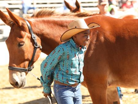Mule Days Kid Cowboy, Benson, NC.