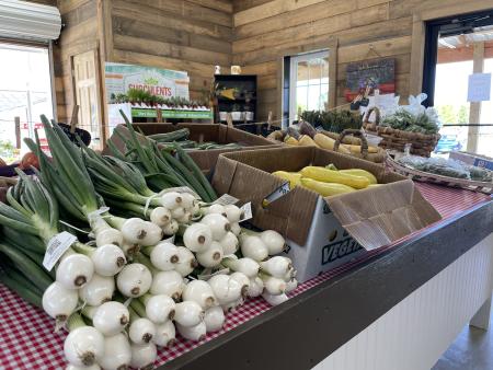 Smith's Nursery and farm market in Benson, NC.