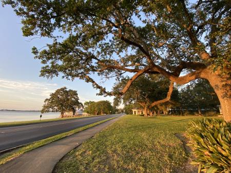 Shell Beach Drive