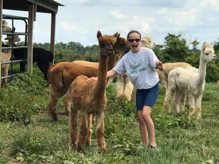 girl touring and interacting with alpacas at eagle bend alpacas in northern kentucky