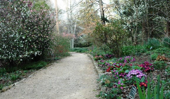 Coker Arboretum