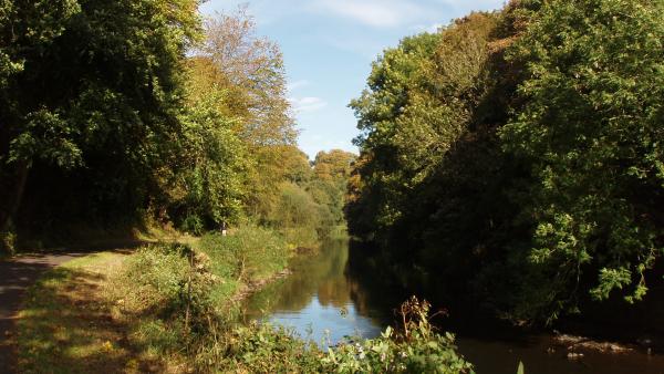 Picture of one of the paths in Lagan Valley Regional Park.