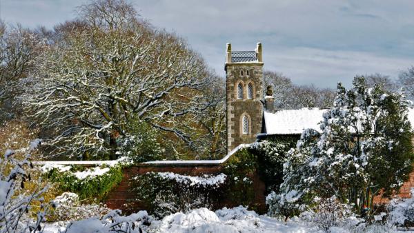 Rowallane Garden Winter