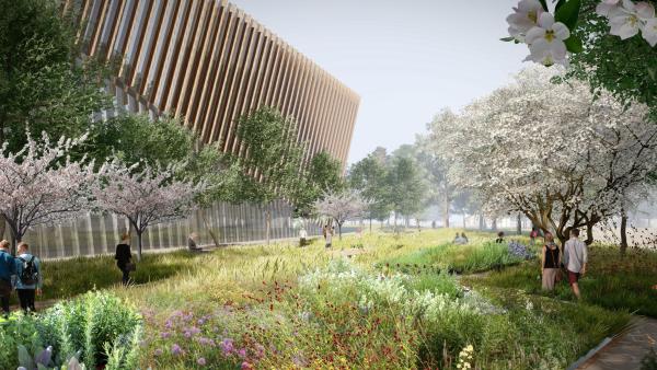 Healing Gardens at the Alice L. Walton School of Medicine. (Rendering by OSD and Polk Stanley Wilcox)
