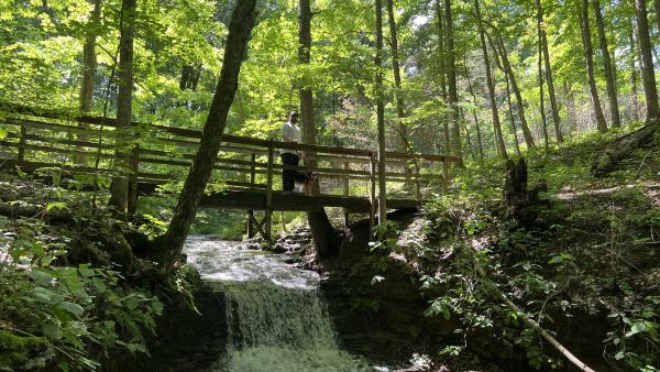 Hiker and dog pause on a wooden footbridge above a small waterfall surrounded by lush green forest at Charlestown State Park.