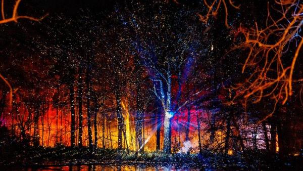 Luminate Coombe Abbey
