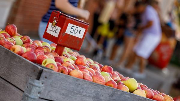 Nappanee Apple Festival