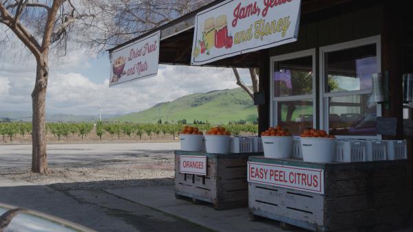 Lily's Blossom Trail Fruit Stand