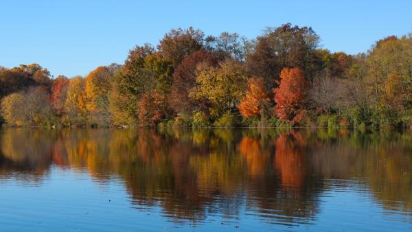 Fall foliage shines at Wilde Lake