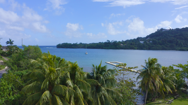 Port Antonio - Alligator Head Aerial view