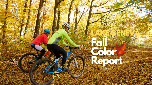 Fall Color Report Header