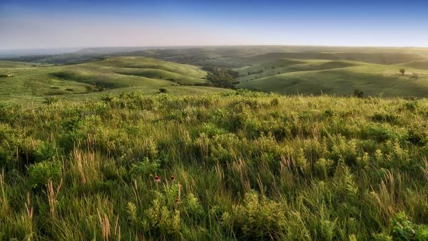 Flint Hills