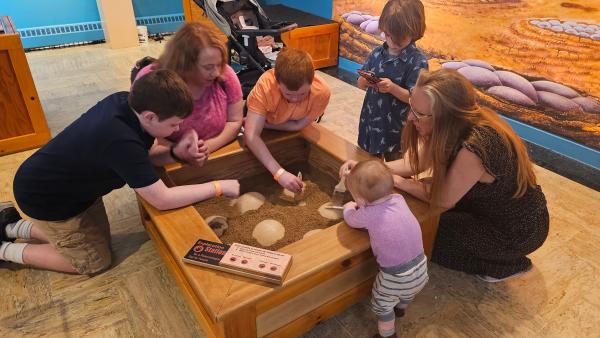 Two adult women and four children interact with a dinosaur exhibit to remove sand from a play excavation site