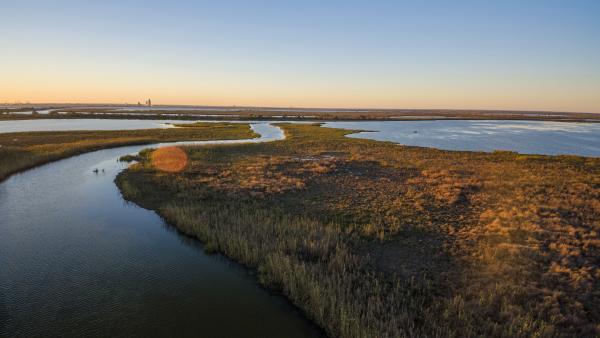 Fall Activities in Mobile, AL| Festivals, Outdoors & Family Fun