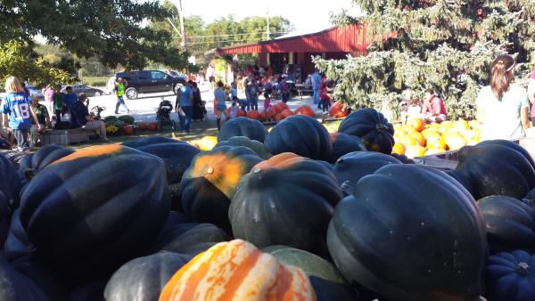 Anderson Orchard