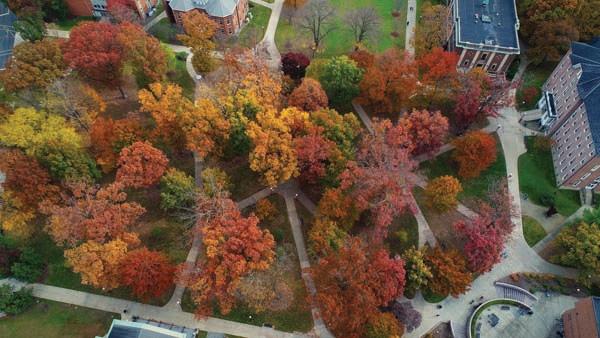 Fall Foliage at Indiana University of Pennsylvania