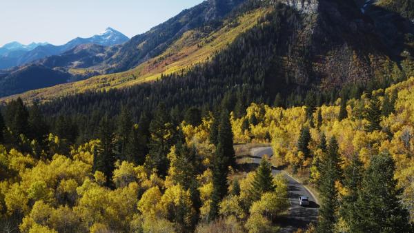 Alpine Loop Fall Colors