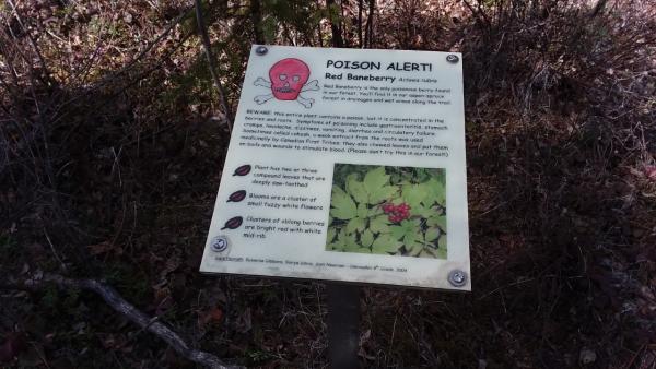 an information sign about poisonous baneberry
