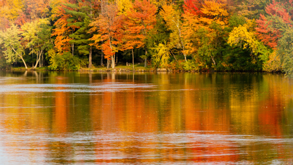 Autumn Wisconsin River