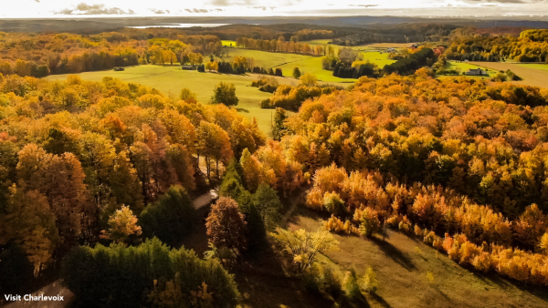Fall Color
