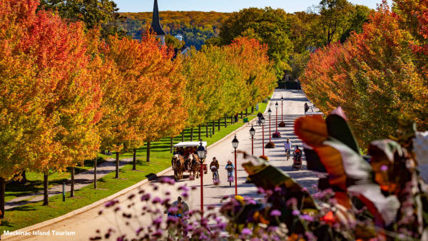 Fall Color