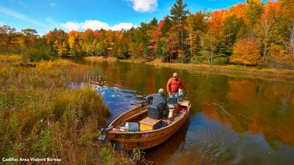 Fall Color