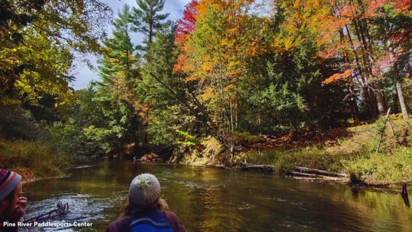 Fall Color