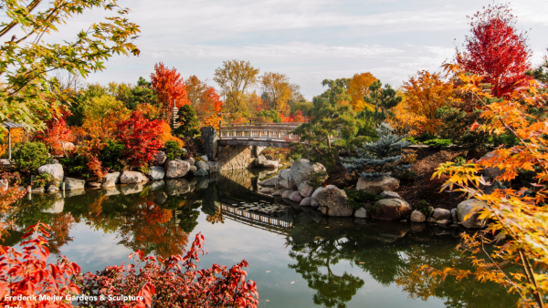 Fall Color